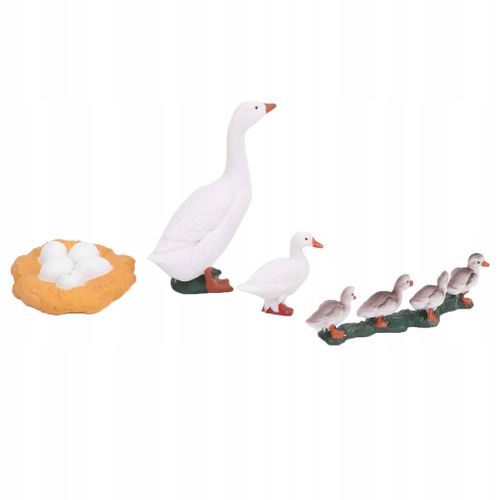 Canard Animal Modele A Cycle De Croissance En 4 Étapes