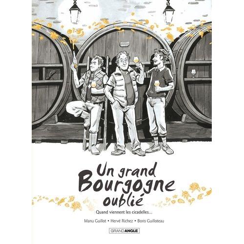 Un Grand Bourgogne Oublié Tome 2 - Quand Viennent Les Citadelles