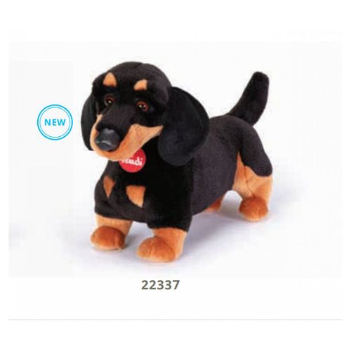 Trudi - Basset Leo
