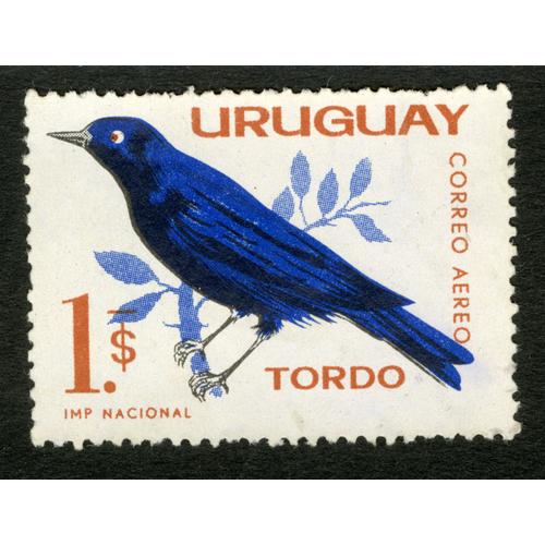 Timbre Non Oblitéré Uruguay, Correo Aereo, Tordo, 1 S, Imp Nacional