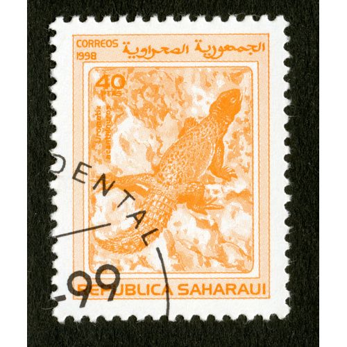 Timbre Oblitéré Republica Saharaui, Correos, 1998