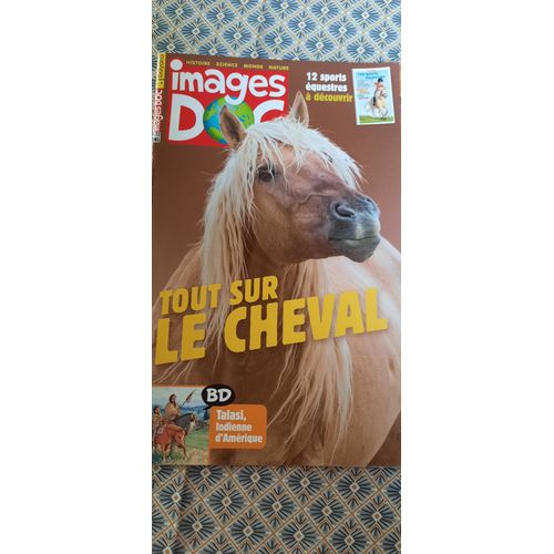 Images Doc N°371 Novembre 2019 Tout Sur Le Cheval