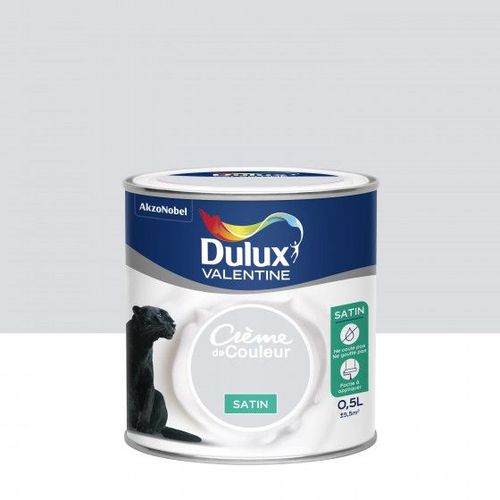Peinture Crème De Couleur Gris Tendance Finition : Satin | 0,5 L