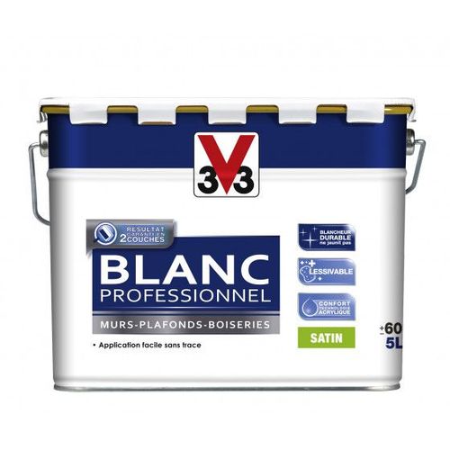 Peinture Blanc Professionnel Satin Pot 5l