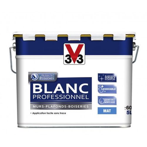 Peinture Blanc Professionnel Mat Pot 5l