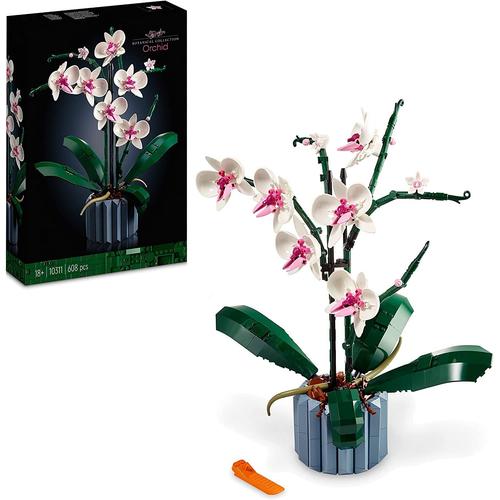 10311 Icons L¿Orchidée Plantes avec Fleurs Artificielles d'Intérieur pour Décoration de Maison, Loisirs Créatifs pour Adultes, Collection Botanique