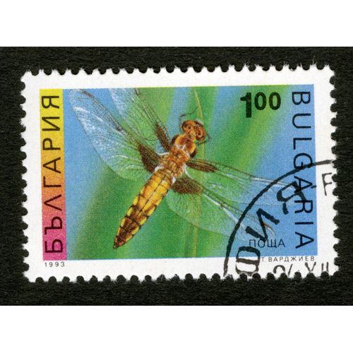 Timbre Oblitéré Bulgaria, 1993, 1,00