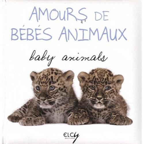 Amours De Bébés Animaux