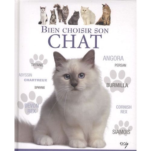 Bien Choisir Son Chat - Guide Des Animaux