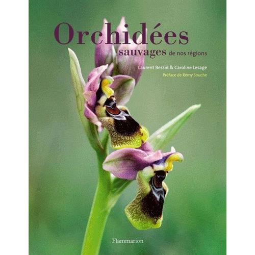 Orchidées Sauvages De Nos Régions