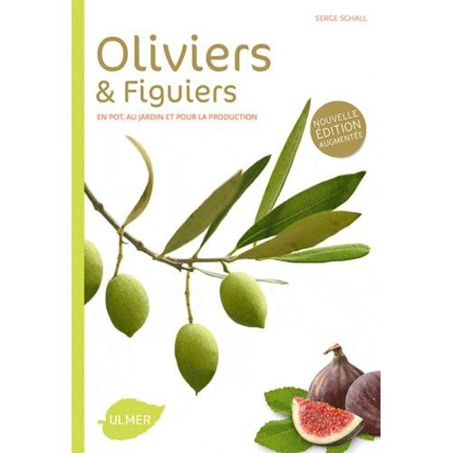 Oliviers Et Figuiers - Comment Les Choisir Et Les Cultiver Facilement