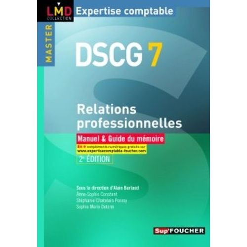 Dscg 7 Relations Professionnelles - Manuel & Guide Du Mémoire