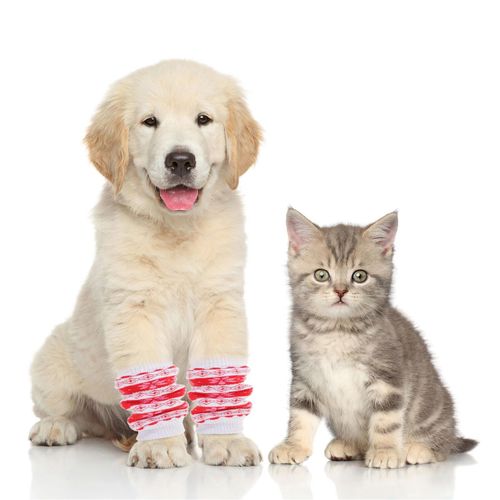 Genouillère Chaude Anti-Urine Pour Chien,Chaussons Pour Chiot,Protège-Coude,Couvre-Jambes,Jambières Pour Animaux De Compagnie,Chaussettes Pour Chien,4 Pièces - Type L #A