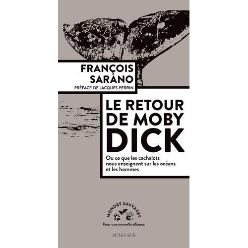 Le Retour De Moby Dick - Ou Ce Que Les Cachalots Nous Enseignent Sur Les Océans Et Les Hommes