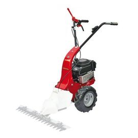 Cellule motrice Minieffe - moteur Honda GCV170 à marche arrière EUROSYSTEMS