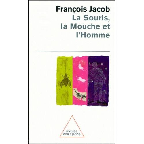 La Souris, La Mouche Et L'homme