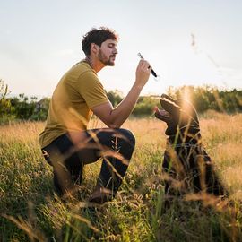 BASifflet pour chien, 2 sifflets à ultrasons professionnels, silencieux haute