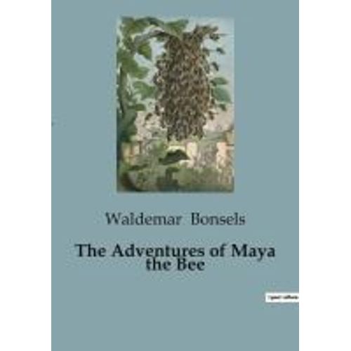 The Adventures Of Maya The Bee