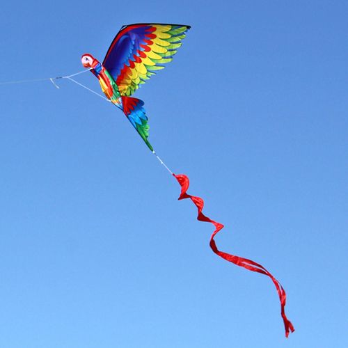 Cerf-Volant De Chauve-Souris, Perroquet Réaliste, Jeu De Plage, Jouet De Sport, Pour Activités De Plein Air En Famille
