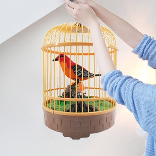 Cage À Perroquet Imitation, Jouet Éducatif Pour Enfants, Éclairage Électrique, Commande Vocale Inductive, 1 Pièce