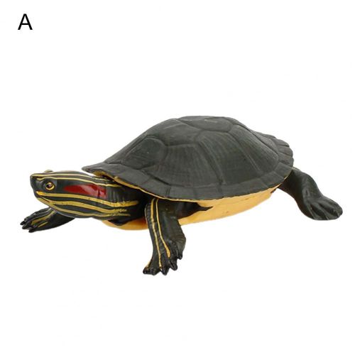 Tortue De Simulation D'Animal, Ornement De Bureau Pour Enfant, Poupée Modèle Éducatif