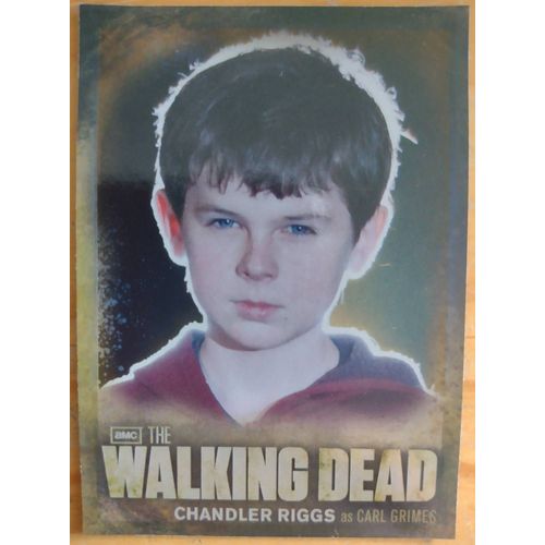 Carte The Walking Dead Saison 2 Chandler Riggs