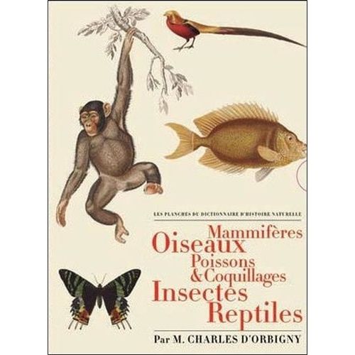 Les Planches Du Dictionnaire D'histoire Naturelle - Coffret 5 Volumes : Mammifères - Oiseaux - Poissons & Coquillages - Insectes - Reptiles