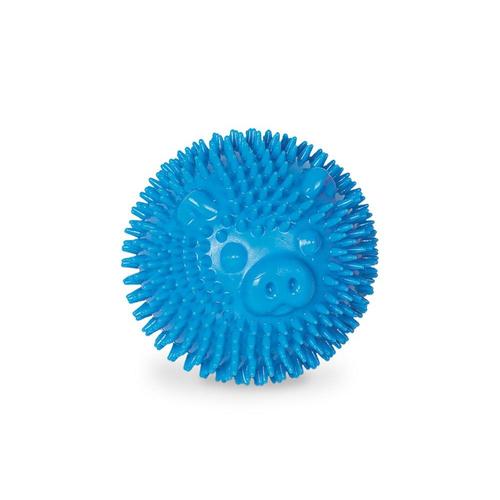 Nobby Spiky Jouet Balle Bip En Forme Cochon Thermoplastique Pour Chien Bleu 6 5 Cm