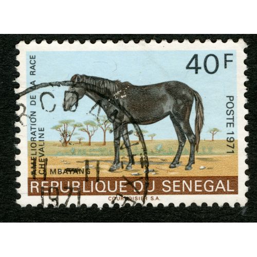 Timbre Oblitéré République Du Sénégal, Amélioration De La Race Chevaline, Mbayans, Postes 1971, 40 F