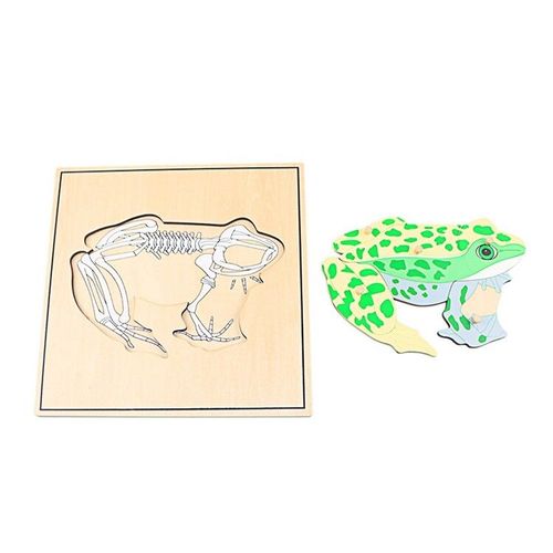 Jouets Montessori En Bois Pour Enfant Garçon,Modules De Biologie,Puzzle Seton,Grenouille,Cheval,Tortiose,Poisson,Oiseau,Animaux - Type Frog