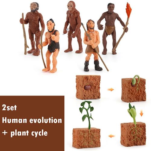 Ensemble De Jouets En Bois Montessori Animal Life Subsiding Board Pour Enfants,Science De La Vie Dos Fuchsia,Aides À La Croissance Des Plantes,Jouets Modèles - Type Evolution