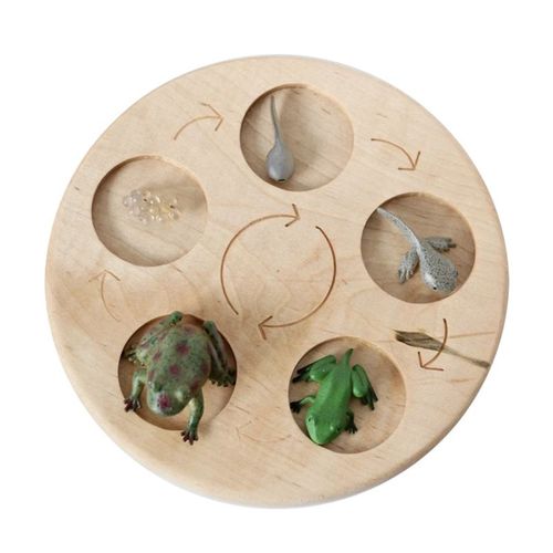 Ensemble De Jouets En Bois Montessori Animal Life Subsiding Board Pour Enfants,Science De La Vie Dos Fuchsia,Aides À La Croissance Des Plantes,Jouets Modèles - Type D