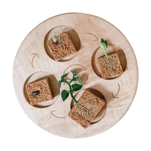 Ensemble De Jouets En Bois Montessori Animal Life Subsiding Board Pour Enfants,Science De La Vie Dos Fuchsia,Aides À La Croissance Des Plantes,Jouets Modèles - Type C