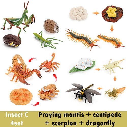 Ensemble De Jouets En Bois Montessori Animal Life Subsiding Board Pour Enfants,Science De La Vie Dos Fuchsia,Aides À La Croissance Des Plantes,Jouets Modèles - Type Insect C