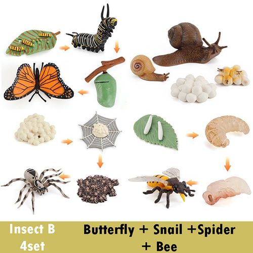 Ensemble De Jouets En Bois Montessori Animal Life Subsiding Board Pour Enfants,Science De La Vie Dos Fuchsia,Aides À La Croissance Des Plantes,Jouets Modèles - Type Insect B
