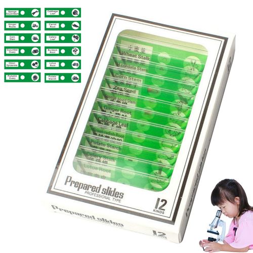 Lames De Microscope Préparées Pour Enfants,12 Pièces,Animaux,Insectes,Plantes,Échantillons De Légumes,Cadeau Éducatif - Type Vegetable