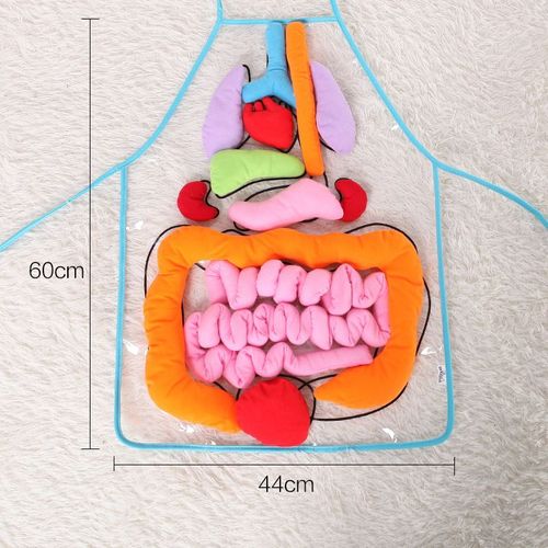 Tablier D'apprentissage De L'anatomie Pour Enfants,Jouets De Sensibilisation Aux Organes Du Corps Humain,Science Alth,Maison Et École,Aides Fuchsia - Type A