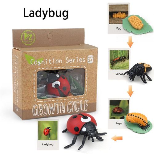 Ensemble De Jouets Animaux Pour Enfants,Simulation De Croissance Des Plantes,Animaux Modèles,Vie,Jouets Montessori E Nitive Aids - Type Ladybug