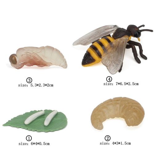 Ensemble De Jouets De Modèle De Subvention De Croissance Animale Pour Enfants,Montessori,Fuchsia,Aides,Insecte,Personnes Sauvages,Alth - Type Bees