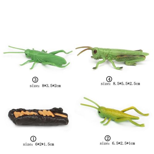 Ensemble De Jouets De Modèle De Subvention De Croissance Animale Pour Enfants,Montessori,Fuchsia,Aides,Insecte,Personnes Sauvages,Alth - Type Grasshopper