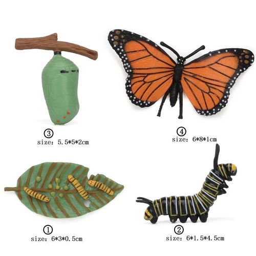 Ensemble De Jouets De Modèle De Subvention De Croissance Animale Pour Enfants,Montessori,Fuchsia,Aides,Insecte,Personnes Sauvages,Alth - Type Butterfly