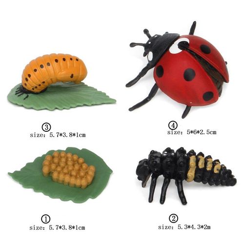 Ensemble De Jouets De Modèle De Subvention De Croissance Animale Pour Enfants,Montessori,Fuchsia,Aides,Insecte,Personnes Sauvages,Alth - Type Ladybugs