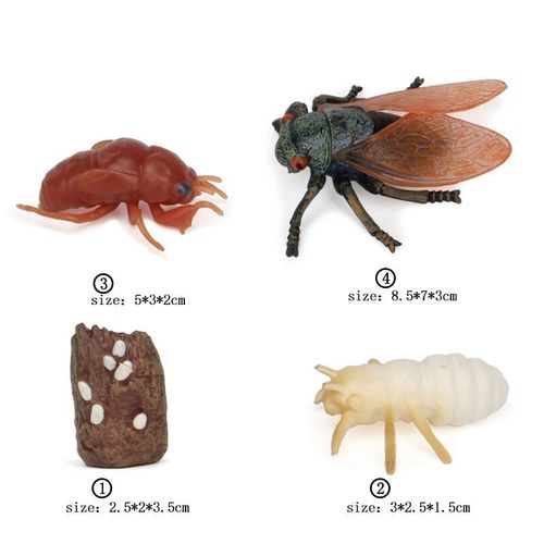 Ensemble De Jouets De Modèle De Subvention De Croissance Animale Pour Enfants,Montessori,Fuchsia,Aides,Insecte,Personnes Sauvages,Alth - Type Cicada