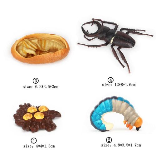 Ensemble De Jouets De Modèle De Subvention De Croissance Animale Pour Enfants,Montessori,Fuchsia,Aides,Insecte,Personnes Sauvages,Alth - Type Antlered Bugs