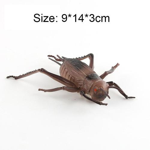 Jouets Miniatures Pour Enfants,Modèle D'insecte,Simulation De Scorpion,Mante,Araignée,Libellule,Pilier Anthracite,Bug,Figauckland,Mignon - Type Cricket