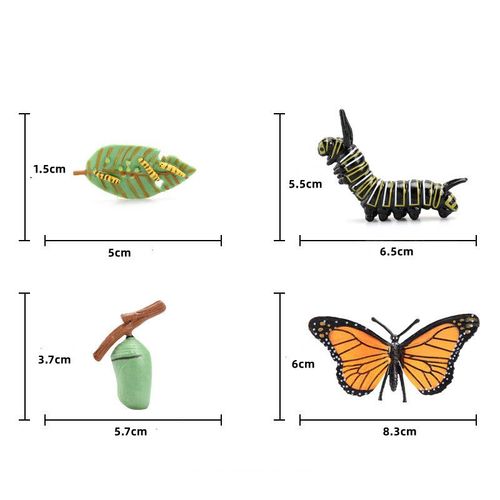 Jouet Éducatif En Vinyle Solide Pour Éducation Précoce,Modèle D'insecte Et D'animal,Simulation De Croissance,Biologie - Type Butterfly