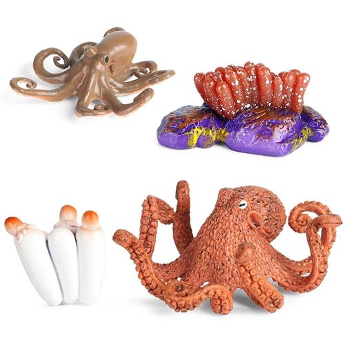 Science De La Vie Marine Pour Enfants,Ver De Terre,Crabe Roi Dos,Jouets De Croissance,Modèle De Subvention,Poulpe,Vie Réaliste,Stade De Subvention #C