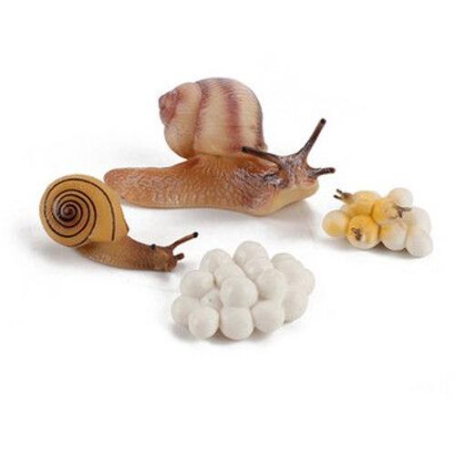 Jouet De Croissance De L'escargot Pour Enfants,Figurines De Bonification,Sauterelle Nitive,Vie,Mante Priante #B