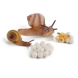 Jouet De Croissance De L'escargot Pour Enfants,Figurines De Bonification,Sauterelle Nitive,Vie,Mante Priante #B