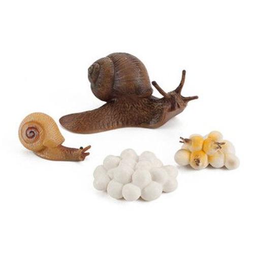 Jouet De Croissance De L'escargot Pour Enfants,Figurines De Bonification,Sauterelle Nitive,Vie,Mante Priante #A